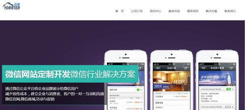 專業(yè)的軟件開發(fā)技術(shù)團(tuán)隊(duì) 數(shù)字化時(shí)代的核心競(jìng)爭(zhēng)力